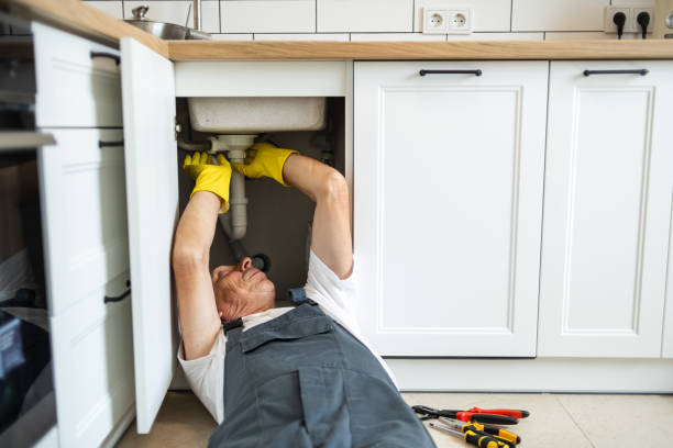 Best Toilet Repair Services  in Lamesa, TX